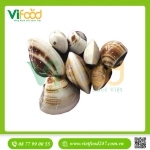 Ngao Vàng Tươi Sống