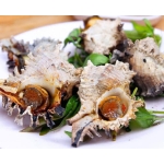  Kho Thịt Bò, Thịt Gà, Thịt Heo, Hải Sản Đông Lạnh tại Xã Toàn Thắng, Tỉnh Phú Thọ