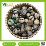 Sò Huyết Tươi Sống