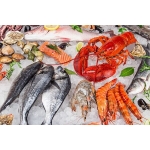 VIFOOD - Thịt Bò, Thịt Gà, Thịt Heo, Hải Sản Đông Lạnh tại Xã Long Cốc, Tỉnh Phú Thọ