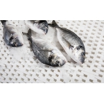 VIFOOD – Kho Thịt Bò, Thịt Gà, Thịt Heo, Hải Sản Đông Lạnh tại Xã Quý Hòa, Tỉnh Lạng Sơn