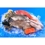 VIFOOD - Tổng Kho Thịt Bò, Thịt Gà, Thịt Heo, Hải Sản Đông Lạnh tại Phường Hòa Bình, Tỉnh Phú Thọ