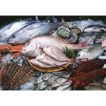 VIFOOD - Tổng Kho Thịt Bò, Thịt Gà, Thịt Heo, Hải Sản Đông Lạnh tại Phường Mão Điền, Tỉnh Bắc Ninh