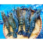 Tổng Kho Thịt Bò, Thịt Gà, Thịt Heo, Hải Sản Đông Lạnh Xã Đường Thượng, Tỉnh Tuyên Quang