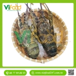 Tôm hùm xanh 400-500gr