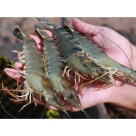 Kho Cung Cấp Thịt Bò, Thịt Gà, Thịt Heo, Hải Sản Đông Lạnh tại Xã Yên Thủy, Tỉnh Phú Thọ