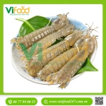 Tôm tít - bề bề