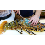 Tổng Kho Hải Sản Đông Lạnh Nhập Khẩu Tại Long An Uy Tín, Chất Lượng, Giá Tốt