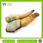 Tu Hài Tươi Sống