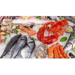 VIFOOD - Tổng Kho Thịt Bò, Thịt Gà, Thịt Heo, Hải Sản Đông Lạnh tại Xã Đà Bắc, Tỉnh Phú Thọ