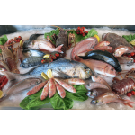 VIFOOD - Tổng Kho Thịt Bò, Thịt Gà, Thịt Heo, Hải Sản Đông Lạnh tại Xã Tiên Du, Tỉnh Bắc Ninh