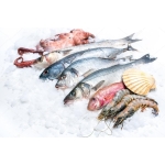 Tổng Kho Thịt Bò, Thịt Gà, Thịt Heo, Hải Sản Đông Lạnh tại Xã Yên Trung, Tỉnh Bắc Ninh