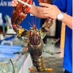 Tổng Kho Thịt Bò, Thịt Gà, Thịt Heo, Hải Sản Đông Lạnh tại Phường Bồng Lai, Tỉnh Bắc Ninh