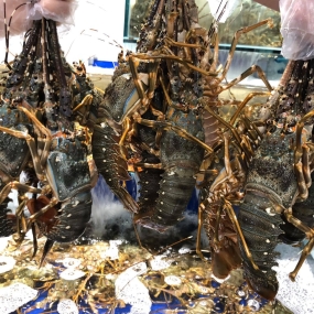 Tổng Kho Thịt Bò, Thịt Gà, Thịt Heo, Hải Sản Đông Lạnh Nhập Khẩu tại Xã Khun Há, tỉnh Lai Châu