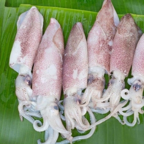 Cung Cấp Thịt Bò, Thịt Gà, Thịt Heo, Hải Sản Đông Lạnh tại Xã Văn Hán, Tỉnh Thái Nguyên