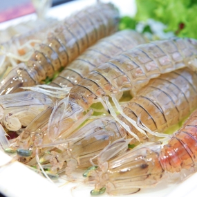 Kho Cung Cấp Thịt Heo, Bò, Gà Và Hải Sản Đông Lạnh Nhập Khẩu Tại Xã Thái Hòa, Tỉnh Tuyên Quang
