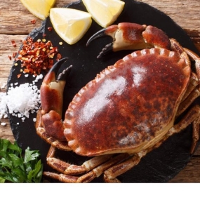 Tổng Kho Thịt Bò, Thịt Gà, Thịt Heo, Hải Sản Đông Lạnh Xã Mậu Duệ, Tỉnh Tuyên Quang