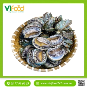 Bào Ngư Hàn Quốc Sống 10 - 13 con