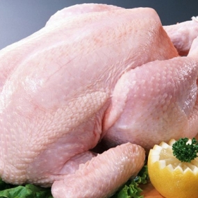 Tổng Kho Thịt Gà Đông Lạnh Bạc Liêu Uy Tín, Giá Tốt Nhất