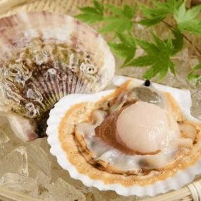 Mua Hải Sản Đông Lạnh Uy Tín Chất Lượng Tại Yên Bái