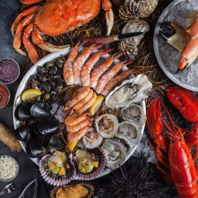 Tổng Kho Thịt Bò, Thịt Gà, Thịt Heo & Hải Sản Đông Lạnh tại Xã Nghĩa Đô, Tỉnh Lào Cai