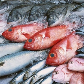 Sỉ Lẻ Thịt Bò, Thịt Gà, Thịt Heo, Hải Sản Đông Lạnh tại xã Phượng Dực, Hà Nội