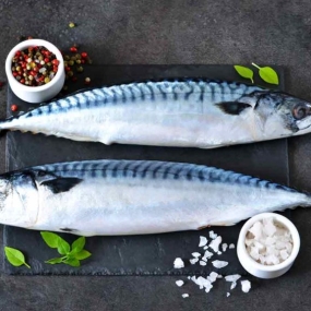VIFOOD –  Siêu Thị Thịt Bò, Thịt Gà, Thịt Heo, Hải Sản Đông Lạnh tại xã Bắc Lý, tỉnh Ninh Bình