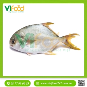 Cá Chim Trắng (1.5 - 2 kg)