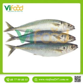 Cá Nục Đông Lạnh