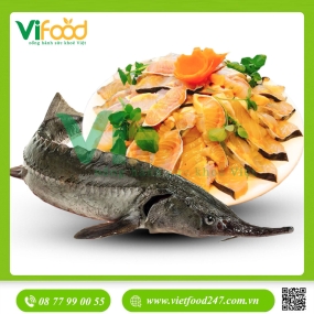 Cá tầm sống size 2-2,5 kg/con
