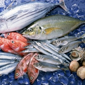  Kho Thịt Bò, Thịt Gà, Thịt Heo, Hải Sản Đông Lạnh tại Xã Đức Lương, Tỉnh Thái Nguyên