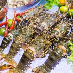 Tổng Kho Hải Sản Đông Lạnh Nhập Khẩu Tại Thành Phố Bắc Kạn