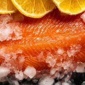 VIFOOD - Thịt Bò, Thịt Gà, Thịt Heo, Hải Sản Đông Lạnh Nhập Khẩu tại Xã Trạm Thản, Tỉnh Phú Thọ