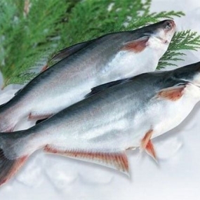 Tổng Kho Thịt Bò, Thịt Gà, Thịt Heo, Hải Sản Đông Lạnh Xã Cán Tỷ, Tỉnh Tuyên Quang