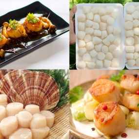Tổng Kho Hải Sản Đông Lạnh Nhập Khẩu Tại Hòa Bình Uy Tín – Chất Lượng – Giá Tốt