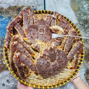 Cửa Hàng Thịt Bò, Thịt Gà, Thịt Heo, Hải Sản Đông Lạnh tại Xã Văn Lãng, Tỉnh Lạng Sơn