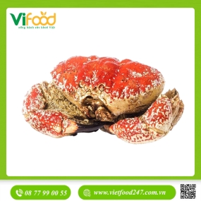 Cua Tasmania Sống