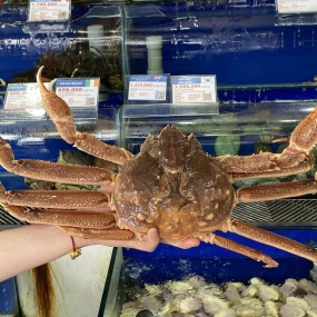 Tổng Kho Thịt Bò, Thịt Gà, Thịt Heo, Hải Sản Đông Lạnh tại Phường Mông Dương, Tỉnh Quảng Ninh