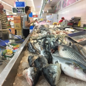 Tổng Kho Thịt Bò, Thịt Gà, Thịt Heo, Hải Sản Đông Lạnh Xã Kim Bon, huyện Phù Yên, tỉnh Sơn La