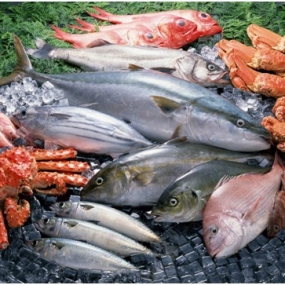 VIFOOD - Cửa Hàng Thịt Bò, Thịt Gà, Thịt Heo, Hải Sản Đông Lạnh tại Xã Lai Đồng, Tỉnh Phú Thọ