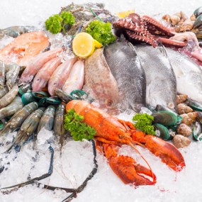 VIFOOD – Thịt Bò, Thịt Gà, Thịt Heo, Hải Sản Đông Lạnh tại Phường An Dương, Thành phố Hải Phòng