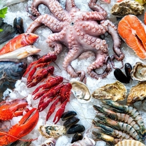 Tổng Kho Thịt Bò, Thịt Gà, Thịt Heo, Hải Sản Đông Lạnh tại Xã Hải Quang, Tỉnh Ninh Bình