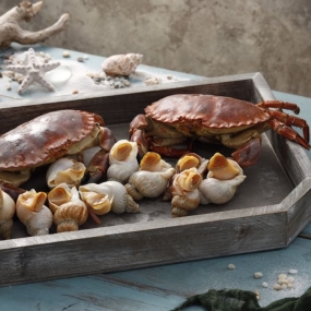 VIFOOD - Tổng Kho Thịt Bò, Thịt Gà, Thịt Heo, Hải Sản Đông Lạnh tại Phường Phương Liễu, Tỉnh Bắc Ninh