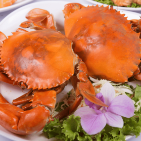 Tổng Kho Thịt Bò, Thịt Gà, Thịt Heo, Hải Sản Đông Lạnh Nhập Khẩu tại Xã Chân Mộng, Tỉnh Phú Thọ