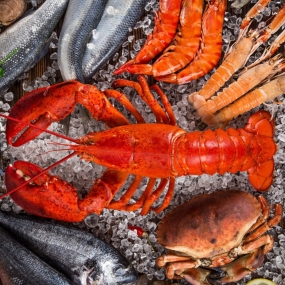 Kho Thịt Bò, Thịt Gà, Thịt Heo, Hải Sản Đông Lạnh tại Xã Định Hóa, Tỉnh Thái Nguyên