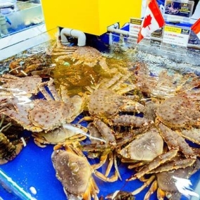 Cửa Hàng Thịt Bò, Thịt Gà, Thịt Heo, Hải Sản Đông Lạnh nhập khẩu tại xã Nậm Kè, tỉnh Điện Biên