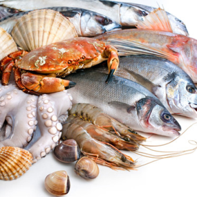 Kho Thịt Bò, Thịt Gà, Thịt Heo, Hải Sản Đông Lạnh tại Xã Trường Sơn, Tỉnh Bắc Ninh