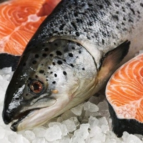 VIFOOD - Thịt Bò, Thịt Gà, Thịt Heo, Hải Sản Đông Lạnh tại Xã Thu Cúc, Tỉnh Phú Thọ