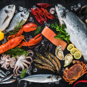 VIFOOD – Cửa Hàng Cung Cấp Thịt Bò, Thịt Gà, Thịt Heo, Hải Sản đông lạnh nhập khẩu tại Xã Kiên Lao, Tỉnh Bắc Ninh
