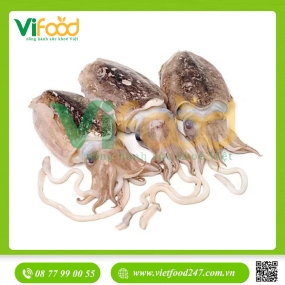 Mực nang tươi 2-3 con/kg